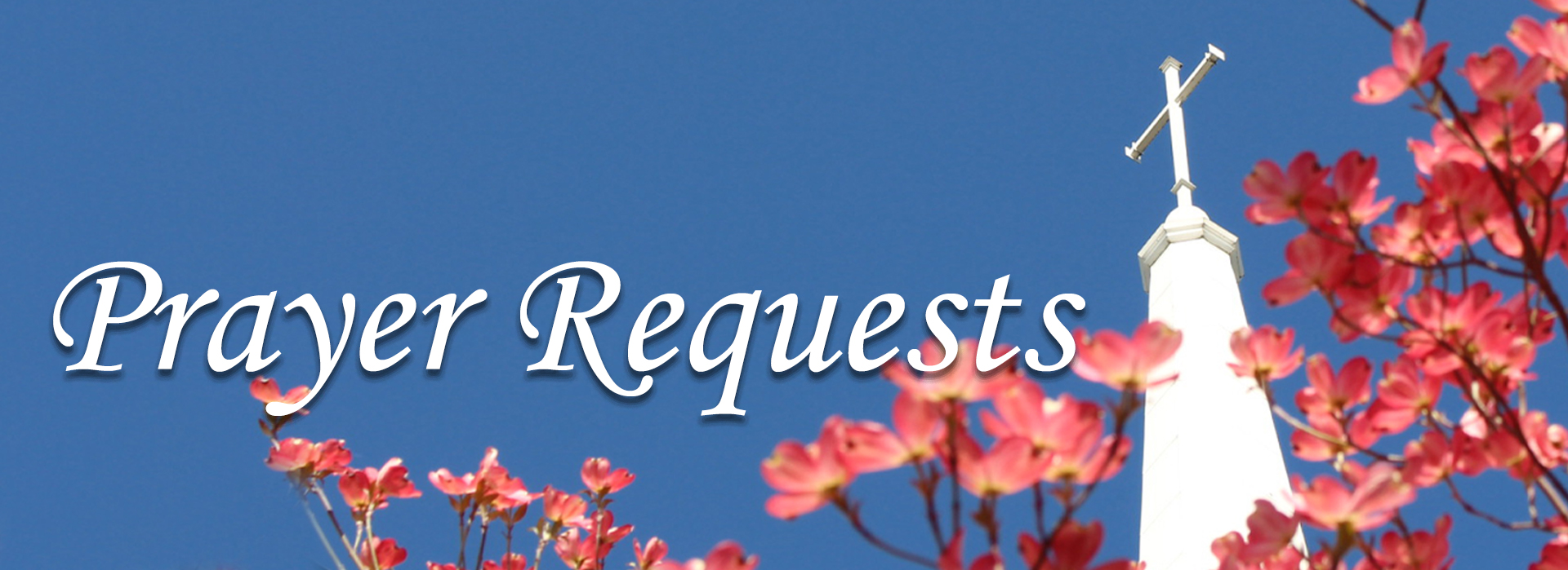 Prayer Requests